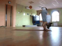 Yoga with cat