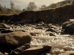 The river