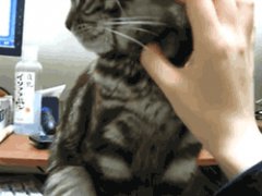 I can't forgive you