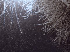 Falling snow