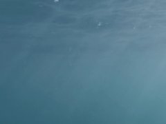 Indian ocean