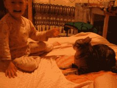 Perfect reaction