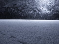 Slow snow