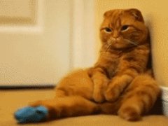 Saturday with nothing to do