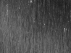 Black and white rain