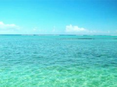 Beautiful summer