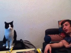 Ok, just leave me alone