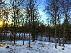 4 seasons