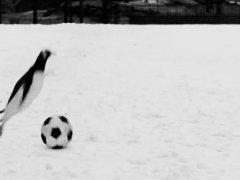 Soccer in Antarctica