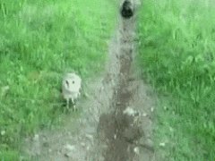 Best friend's joke