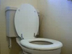 Clever toilet seat