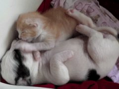 Cutest friendship ever