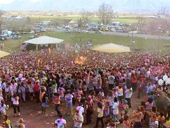 Festival of Colors