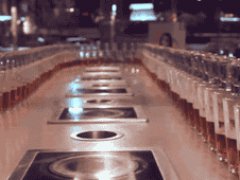 Endless Sake Bombs