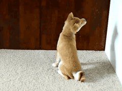 Too lazy to move whole body