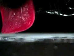 How dogs drink water