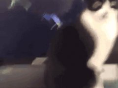 Cat under attack
