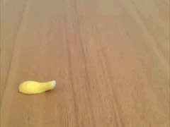 Banana dolphins