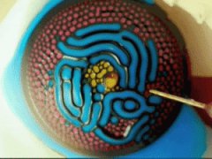Magnetic fluid with watercolor