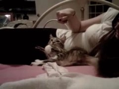 Cat copies girl’s hand