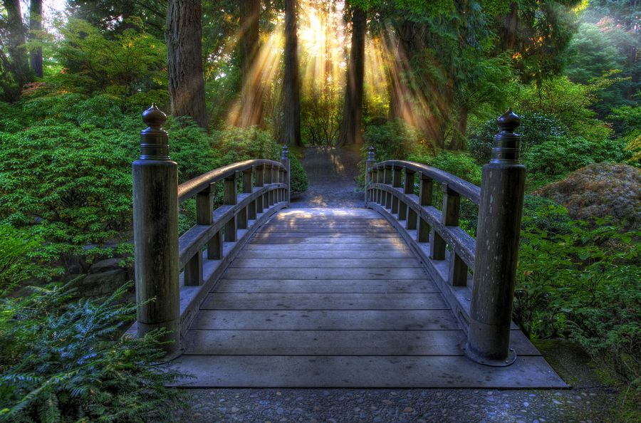 Bridge in the gardens