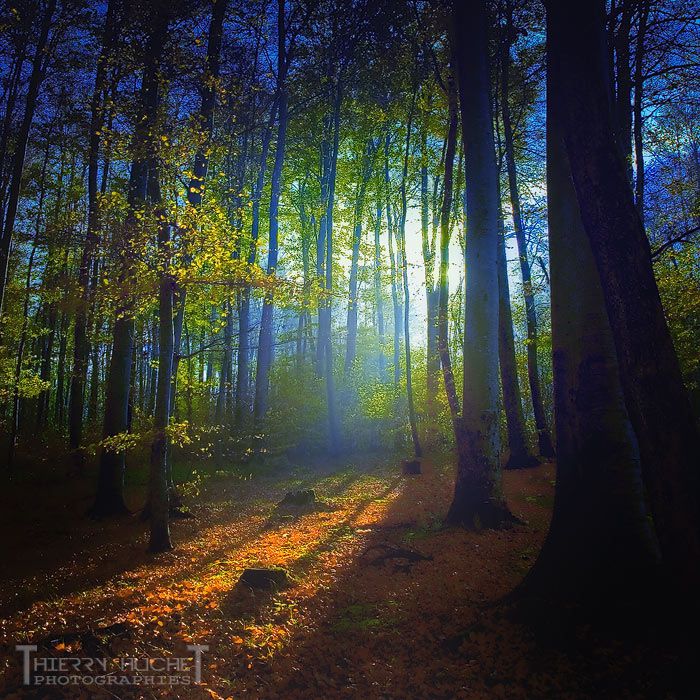 Magic is all around us