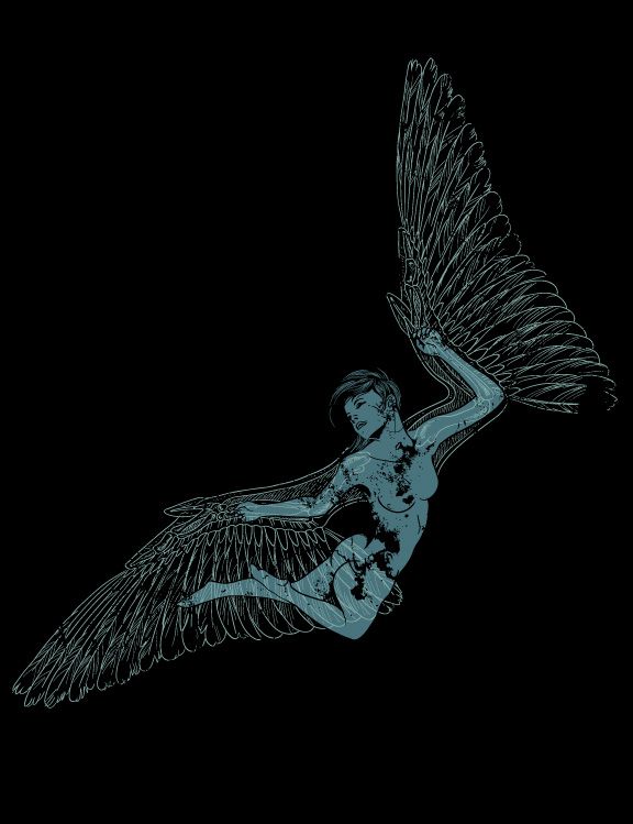 Free Like A Bird
