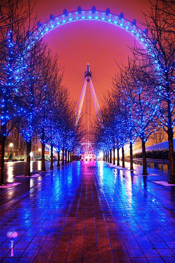 The London Iris