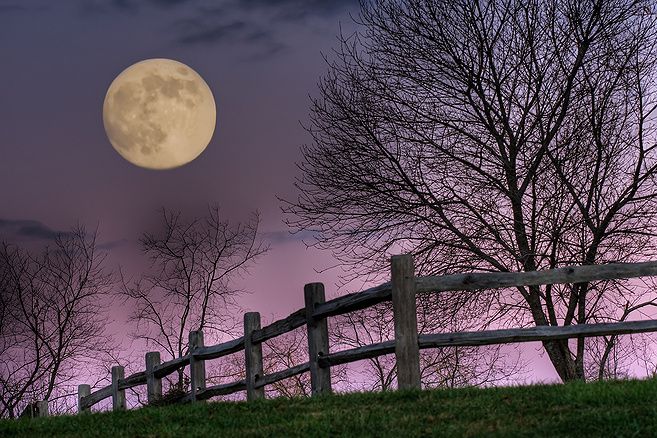 November Moon, Hocking Hills, Ohio