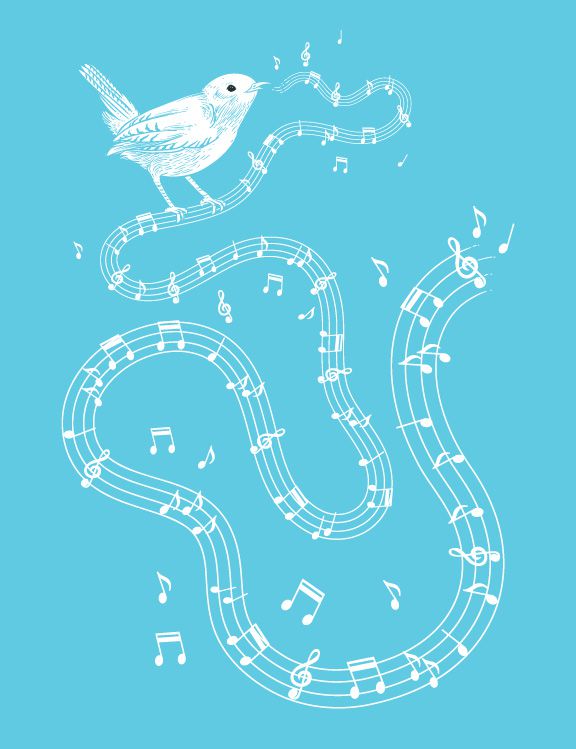 Song Bird