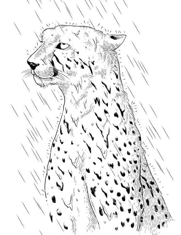 I Hate Raining