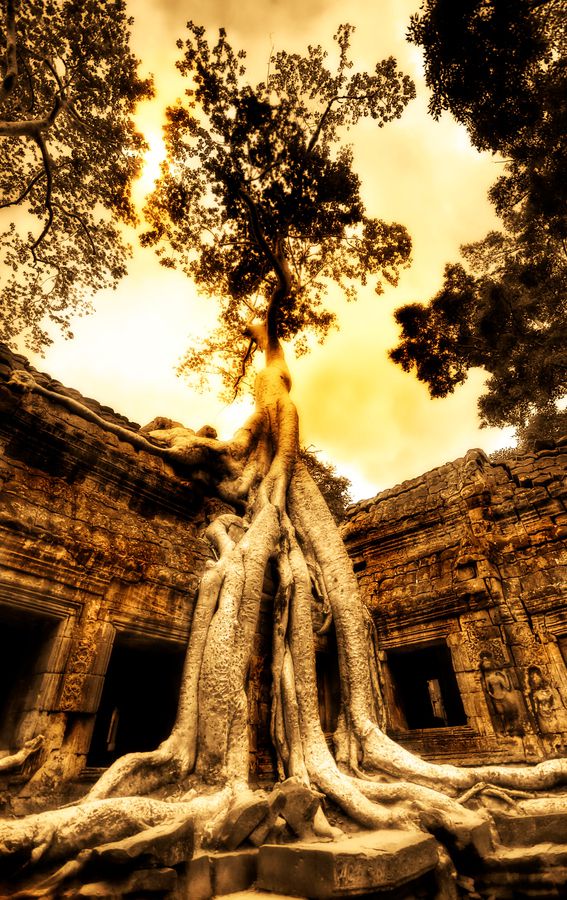 Swallowing the ruins