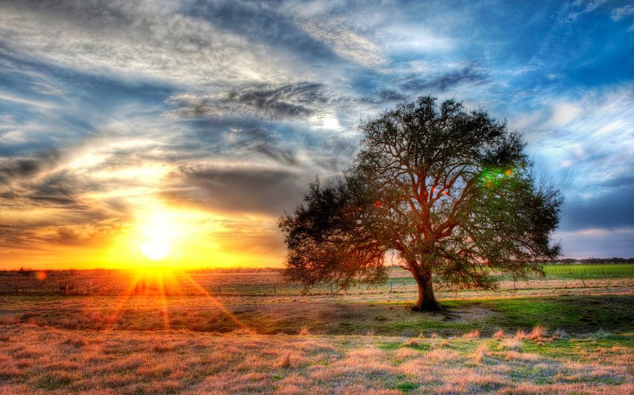Sunset on a texas farm