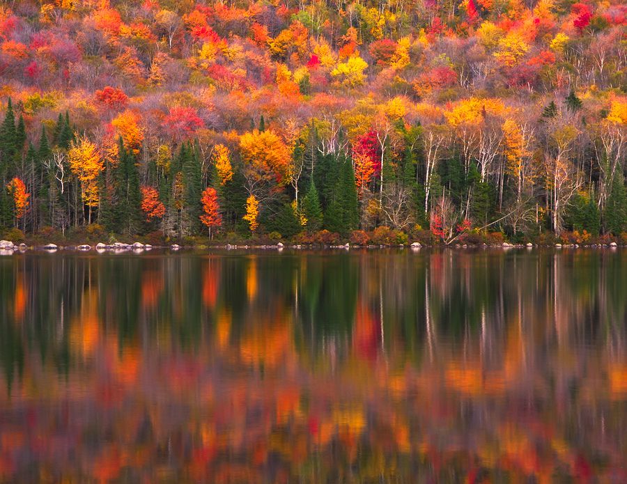 Autumn Reflections