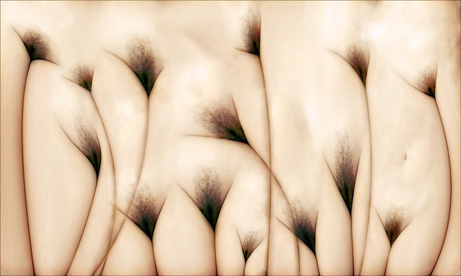 The vaginas field