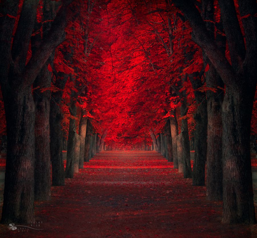 Endless passion