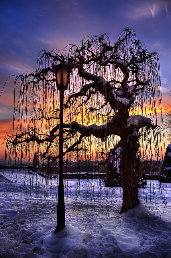 Welcome to 500px!
