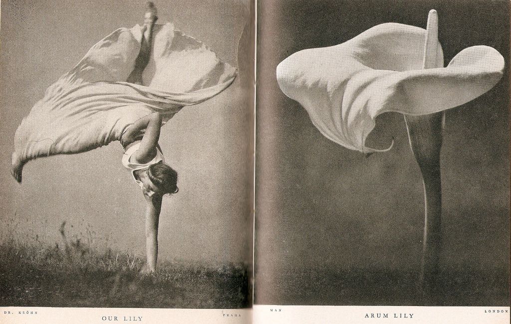 'Lilliput' comparison (9): taken from 'Pocket Omnibus' (1937/38)