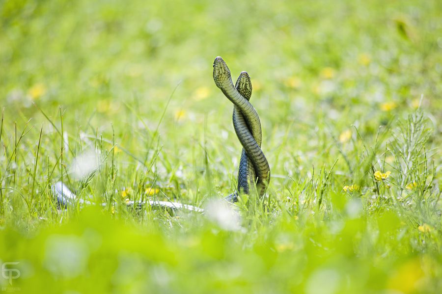 Welcome to 500px!