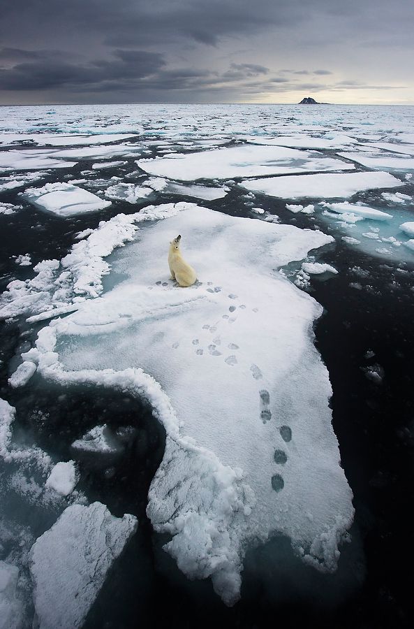 Living on thin ice