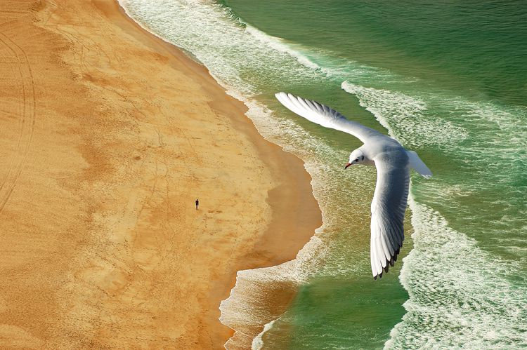 Overflight