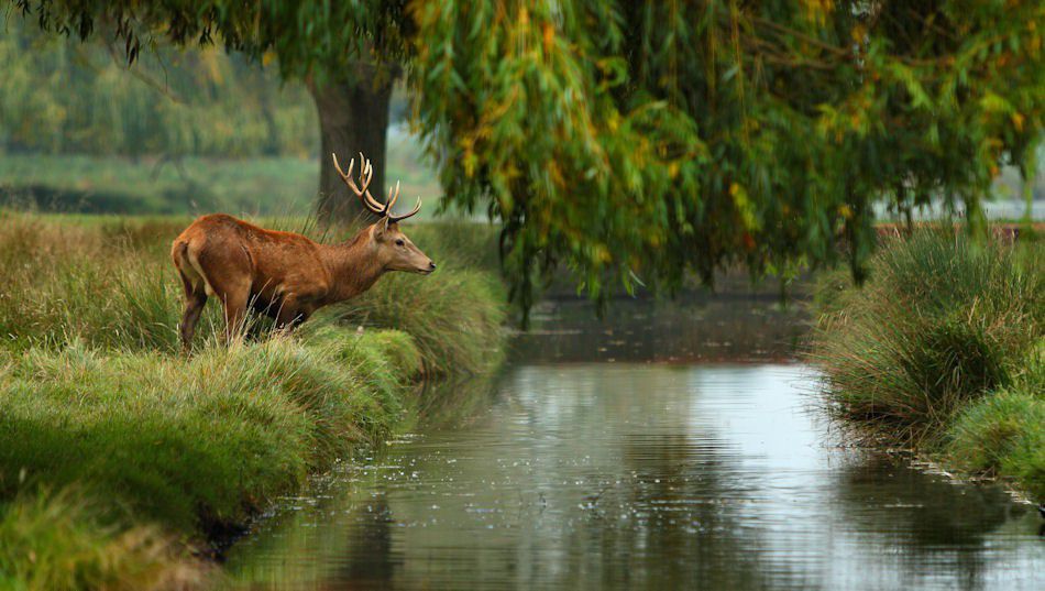 Somewhere on the river