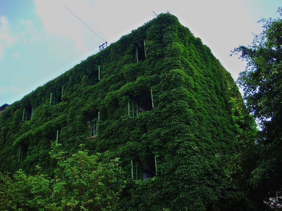Green building