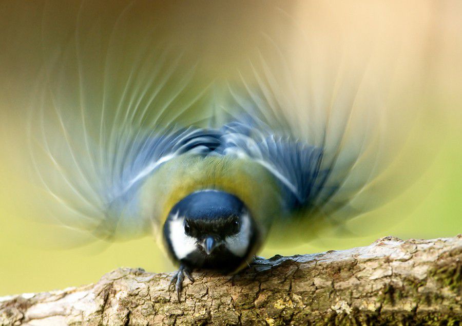 takeoff