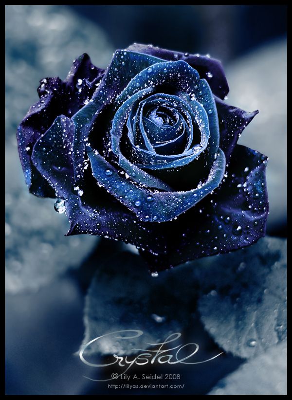 Crystal
