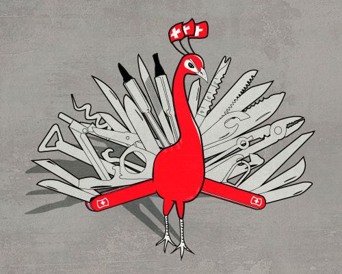 Swiss peacock