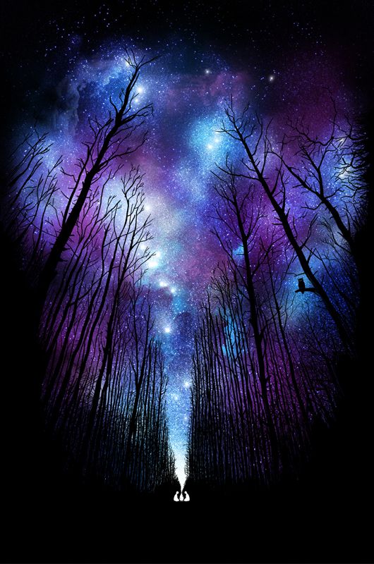 Space forest