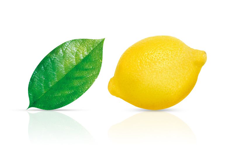 Lemon