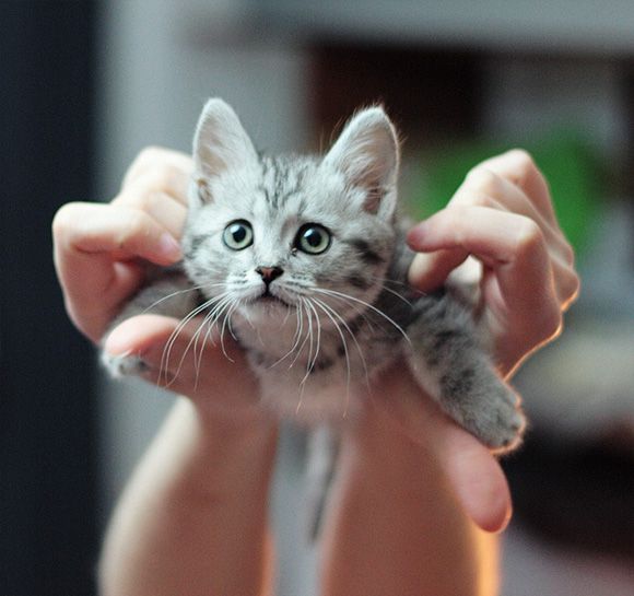 Don't leave me!