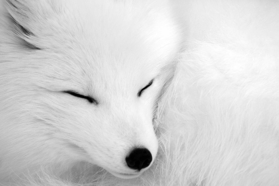 asleep